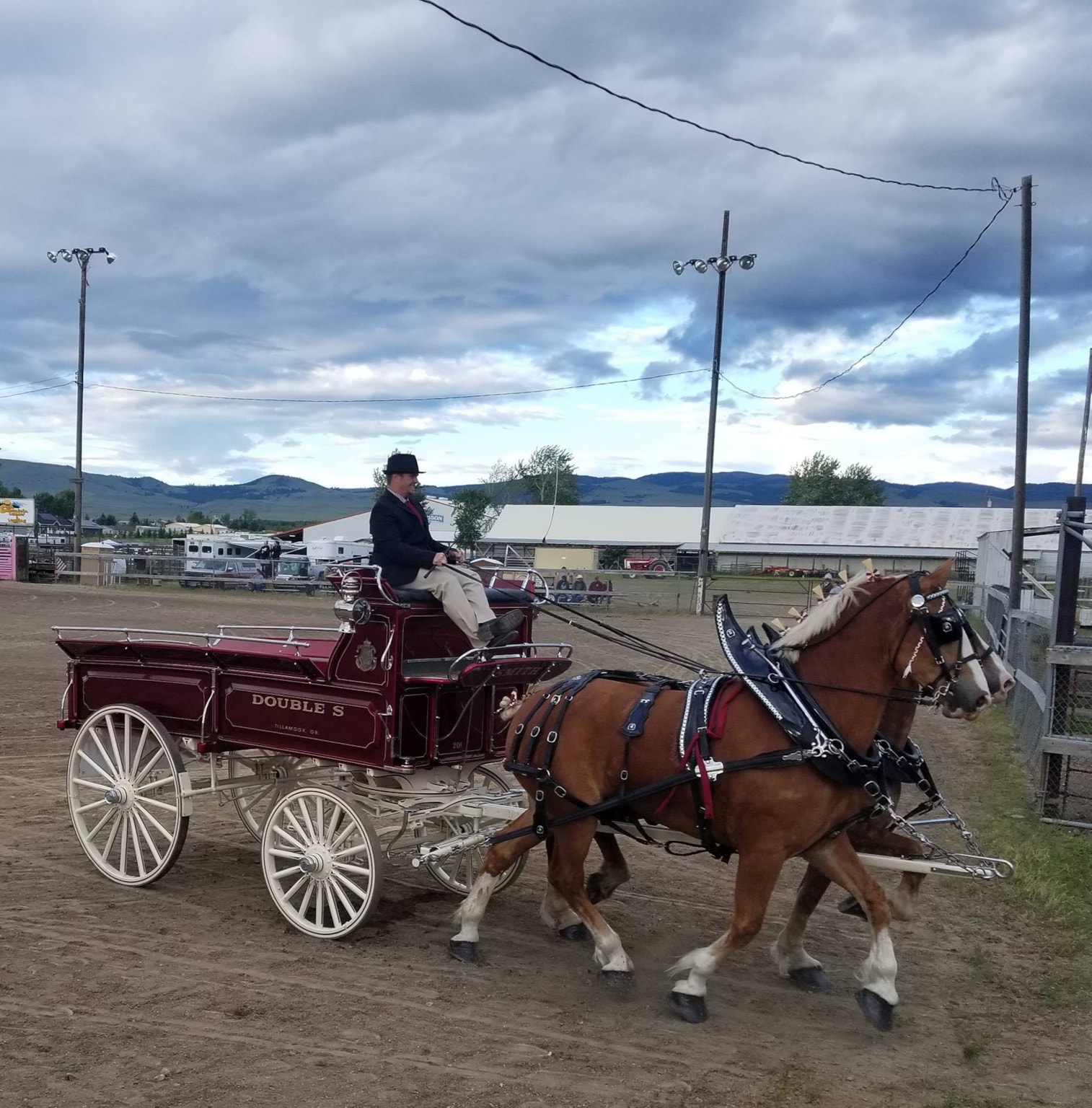 Big Sky Draft Horse Expo